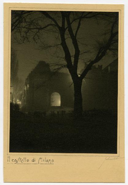 Milano - Castello Sforzesco - Notte - Albero - Luci - Foschia