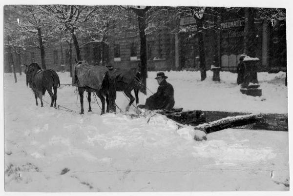 Neve - Rimozione - Milano