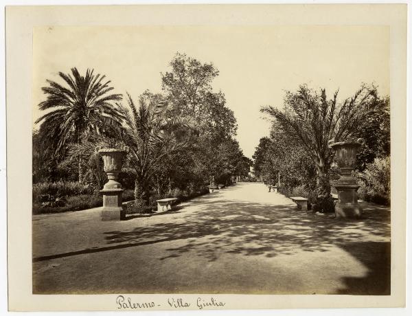 Palermo - Villa Giulia - Viale alberato