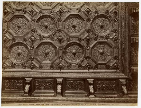 Mantova - Palazzo Ducale - Gabinetto o studiolo d'Isabella D'Este - Soffitto - Legno - Particolare