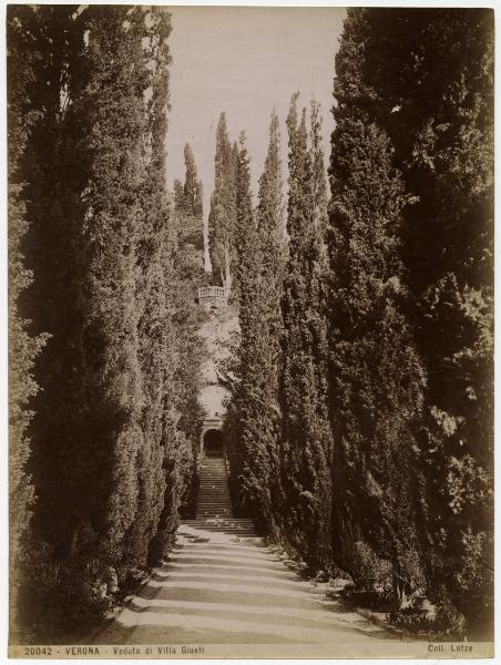 Verona - Palazzo Giusti - Giardino - Viale alberato