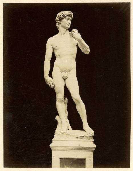 Scultura - Marmo - David - 1501-1504 - Michelangelo Buonarroti - Firenze - Galleria dell'Accademia