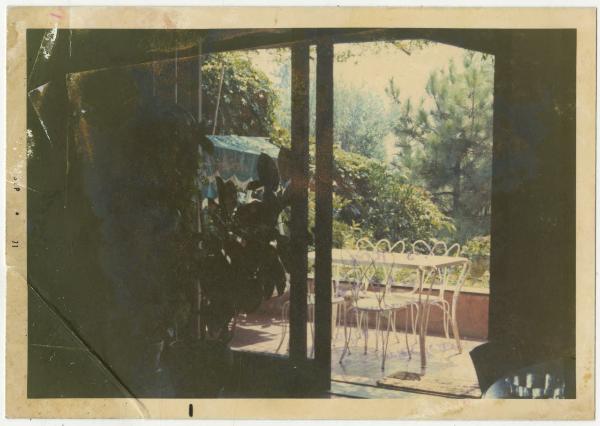 Veduta dall'interno di una casa - soggiorno - porta finestra - terrazzo - giardino - piante
