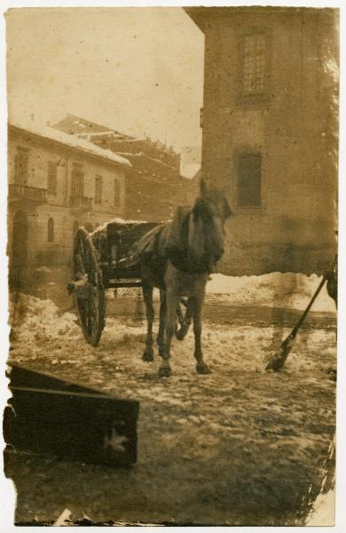 Carretto con cavallo per il trasporto della neve su una via innevata