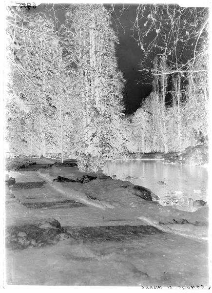 Milano - parco - lago - paesaggio innevato