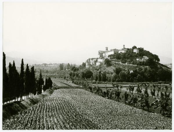 Monterchi - Panorama - Campi