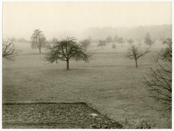 Germania - Crenglingen - campagna