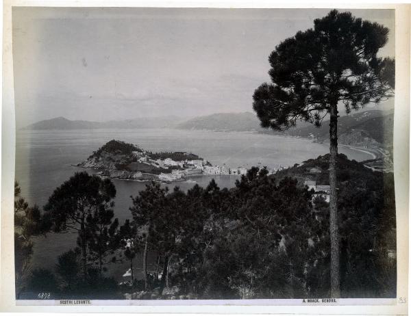 Italia - Liguria - Sestri Levante