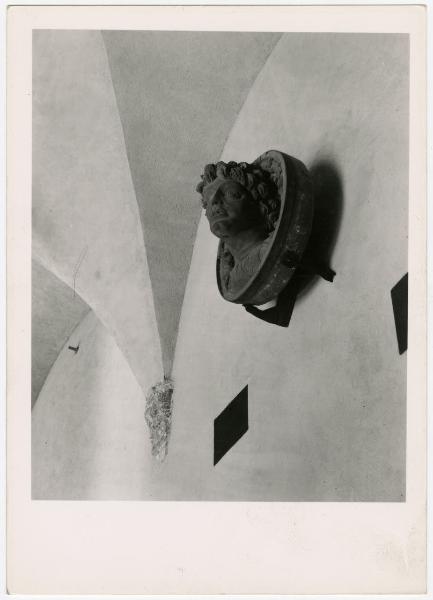 Scultura - Tondo in terracotta con testa virile - XVII sec. - Milano - Castello Sforzesco - Musei Civici - Museo d'Arte Antica - Sala 14 (detta Sala Verde o dei Portali) - Allestimento BBPR (1956)