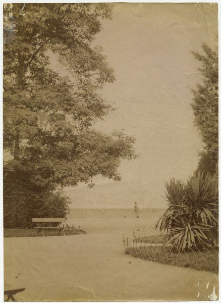 Venezia - Giardini della Biennale - Isola di San Giorgio - Veduta - Aiuole, alberi, uomo