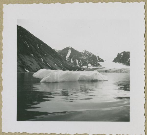 Svalbard, isola Spitsbergen - Baia della Maddalena (Magdalenefjorden), fiordo - Ghiacciaio - Banchisa