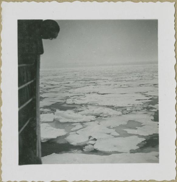 Mare Glaciale Artico - Banchisa - Piroscafo Lafayette