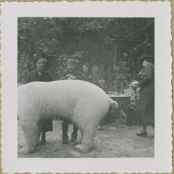 Ritratto di coppia - Marieda Di Stefano con uomo, lappone - Hammerfest - Orso