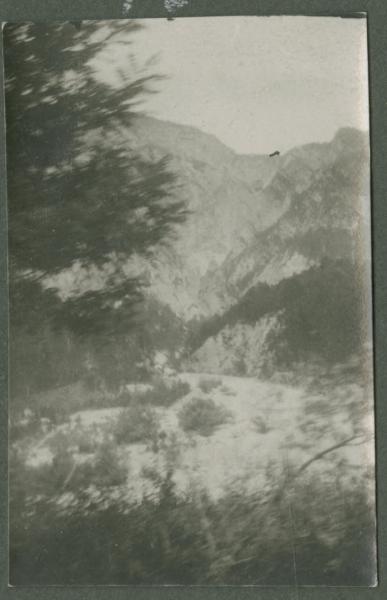 Montagne - Valle - Alberi - Veduta