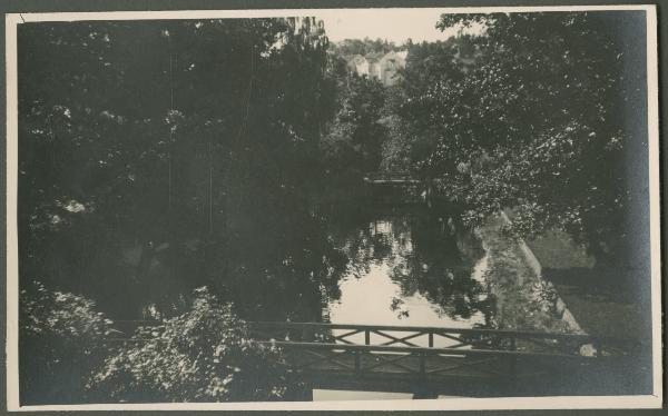 Esterno - Parco - Bacino d'acqua - Alberi - Passerelle pedonali in legno - Edifici sullo sfondo - Veduta