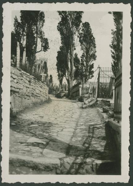 Istanbul - Cimitero Eyüp - Viale lastricato - Alberi