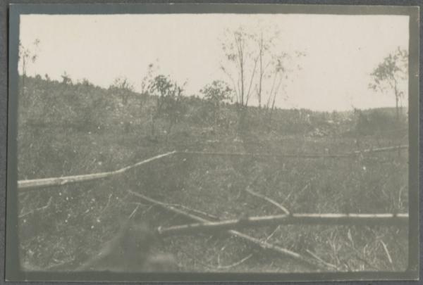 Prima Guerra Mondiale - Luogo di battaglia - Guerra di posizione - Gradisca d'Isonzo, nei pressi di