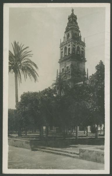 Cordova (Cordoba) - Mezquita, moschea-cattedrale - Patio de los Naranjos, chiostro - Torre, campanile