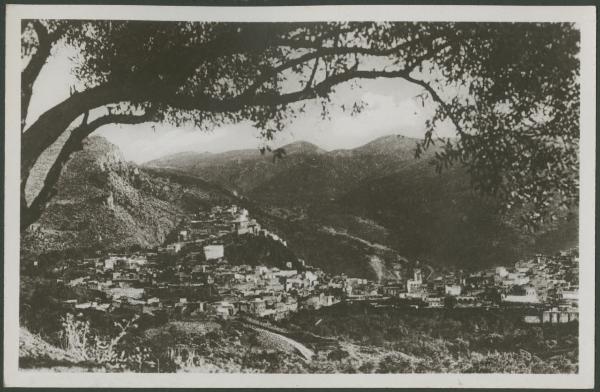 Meknès - Moulay Driss Zerhoun - Albero - Colline - Veduta della città