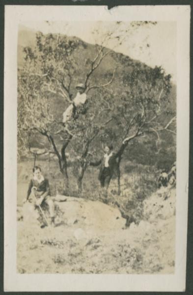 Ritratto di gruppo - Agostino Di Stefano con il fratello Marco e altro ragazzo su un albero - Esterno - Montagna - Escursione