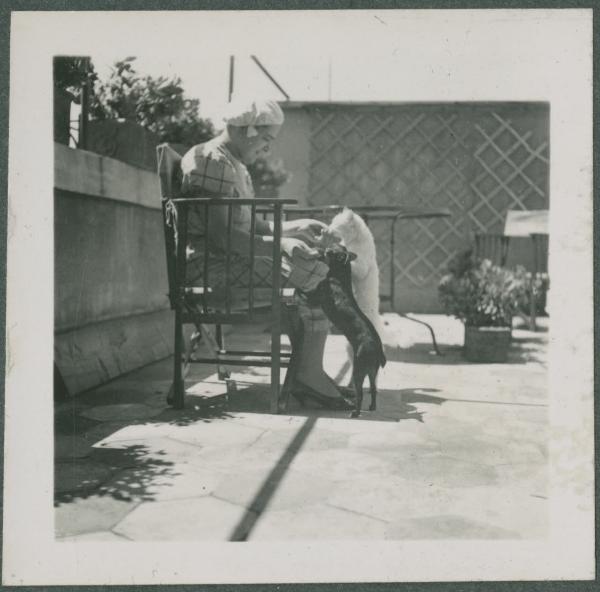 Ritratto femminile - Maria seduta su una sedia con Teté, cane e Piumina, gatto - Milano - Casa di via Giorgio Jan, 15 - Balcone