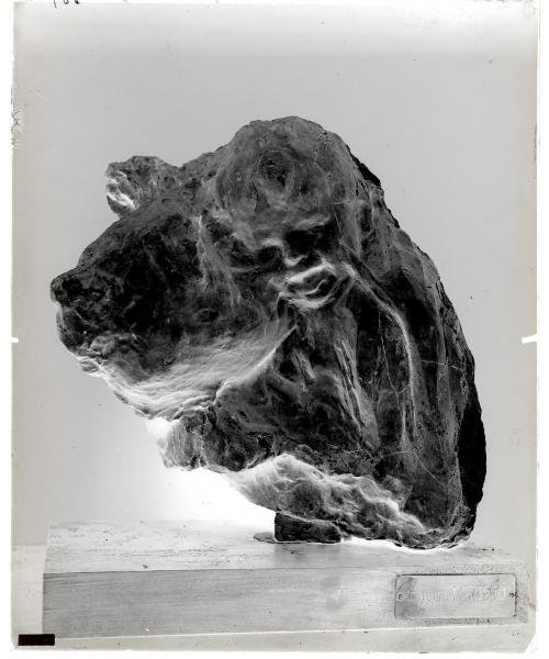 Scultura - Cera - L'Età d'oro - Medardo Rosso - Milano - Galleria d'Arte Moderna