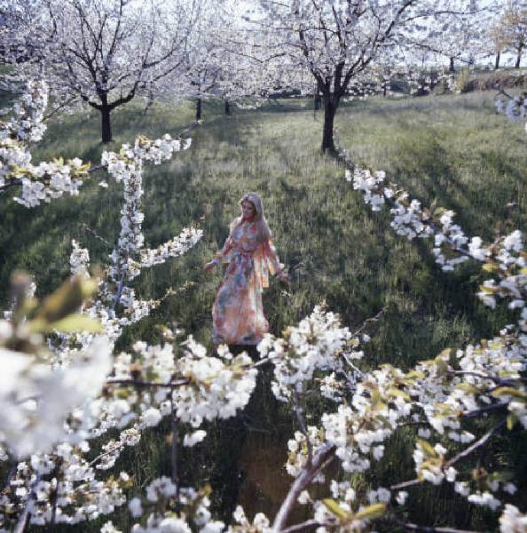 Campagna pubblicitaria Mon Chéri. Alberi di ciliegio in fiore - giovane donna