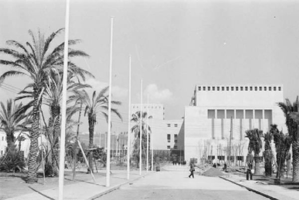 Prima Mostra Triennale delle Terre Italiane d'oltremare - settore geografico - viale delle Palme in costruzione - sul fondo il Palazzo dell'Arte - Teatro Mediterraneo