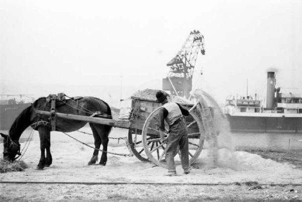 Porto Marghera. Carro con cavalli per il carico e il trasporto di materiali