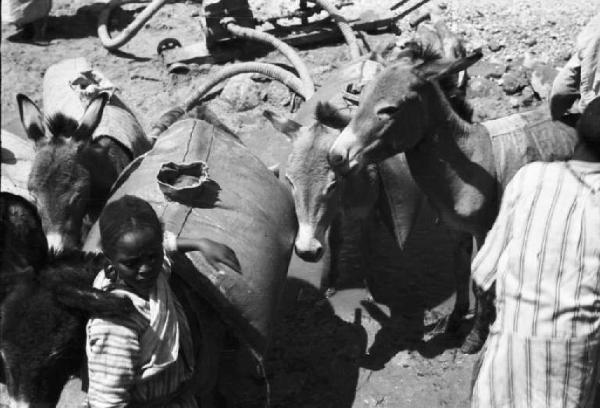 Viaggio in Africa. Mai Edaga - ragazzo indigeno con muli