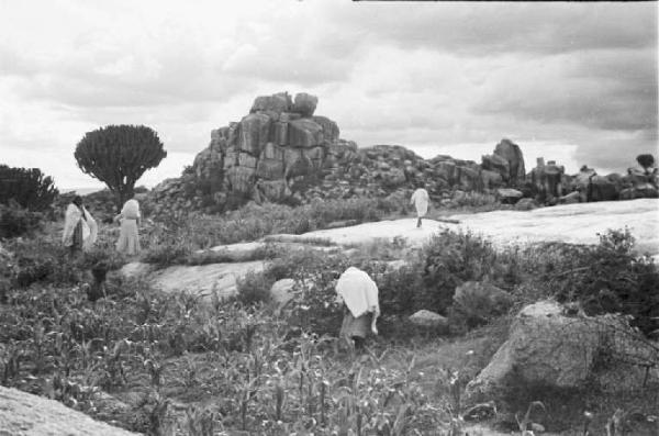Viaggio in Africa. Campo di granoturco - indigeni - rocce