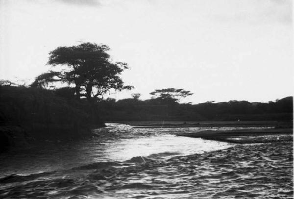 Viaggio in Africa. Paesaggio fluviale africano con alberi di acacia sullo sfondo