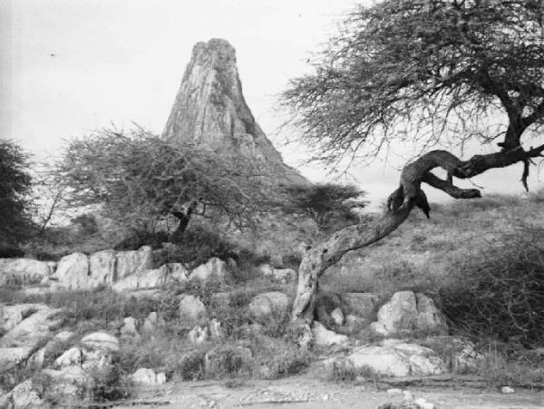 Viaggio in Africa. Paesaggio africano - albero di acacia e roccia a forma di piramide