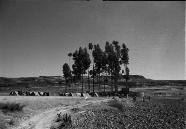 Viaggio in Africa. Paesaggio di pianura - accampamento militare sotto degli alberi