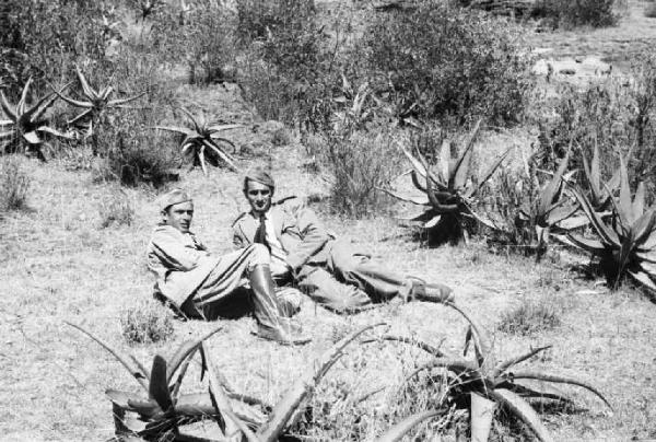 Viaggio in Africa. Ritratto di coppia, due militari italiani durante una pausa, seduti tra piante di agave