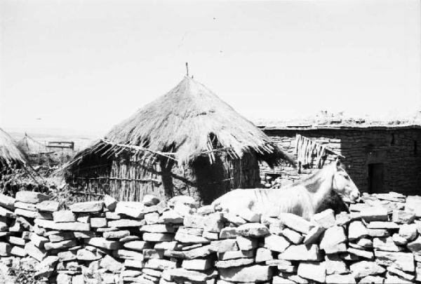 Viaggio in Africa. Dintorni di Macalle - villaggio - muretto e cavallo - abitazioni in pietra con tetto in paglia