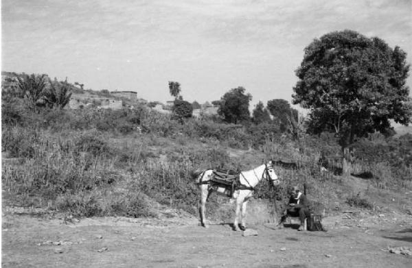 Viaggio in Africa. Soldato italiano al riposo con mulo