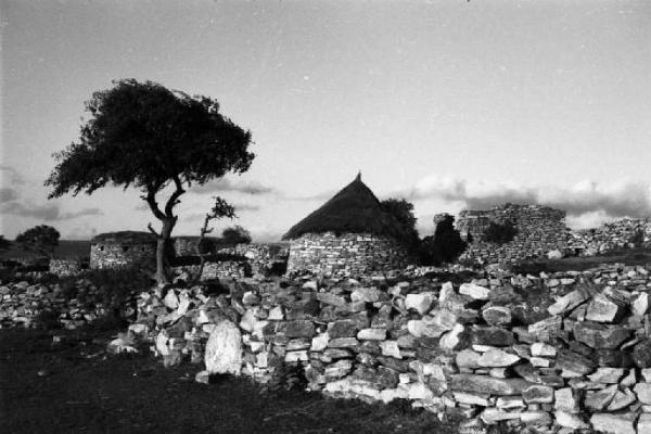 Viaggio in Africa. Quiha: scorcio di un villaggio con capanne in pietra dai tetti di paglia e muretti a secco. Al centro un albero d'acacia