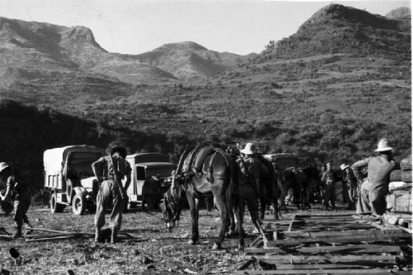 Viaggio in Africa. Abeitò - convoglio militare - militari italiani - muli e autocarri