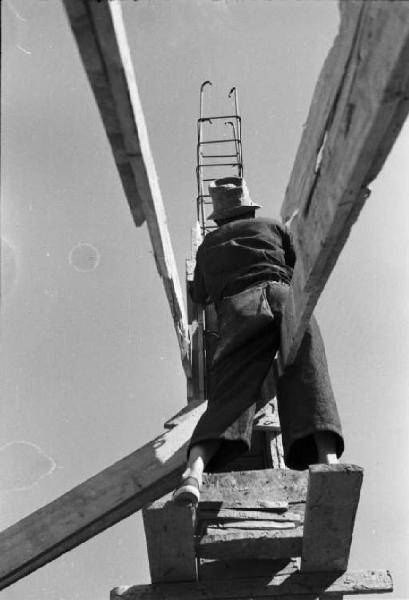 Allestimento della Triennale delle Terre d'Oltremare - operaio al lavoro