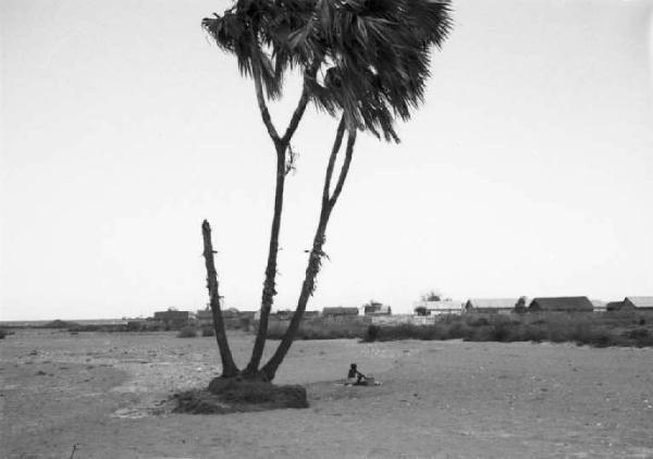 Viaggio in Africa. Archica [?] - pianura semidesertica - palma isolata - villaggio