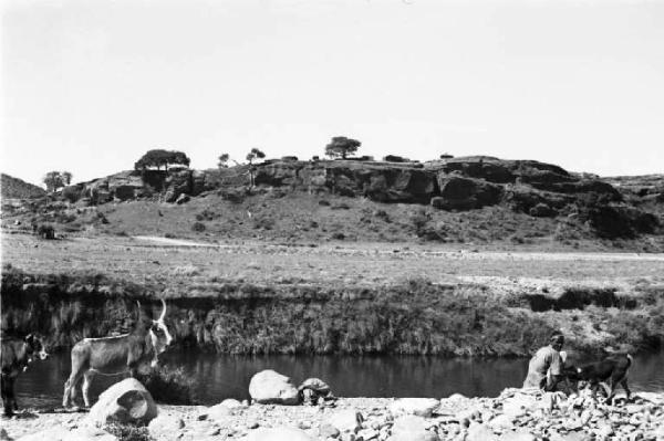 Viaggio in Africa. Paesaggio africano: pastori indigeni e animali al pascolo nei pressi  di una pozza d'acqua