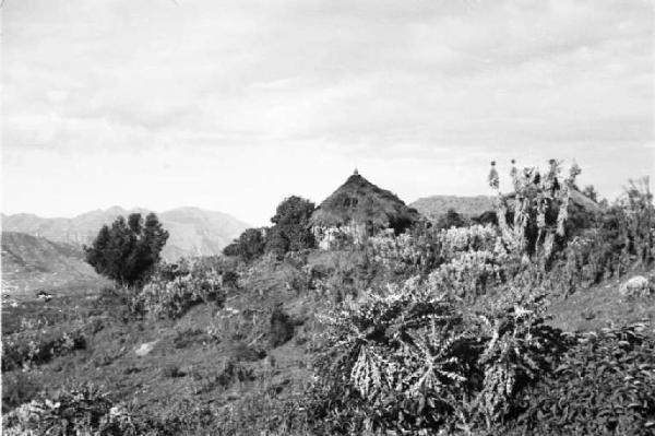 Viaggio in Africa. Paesaggio africano: villaggio di capanne seminascosto tra la vegetazione