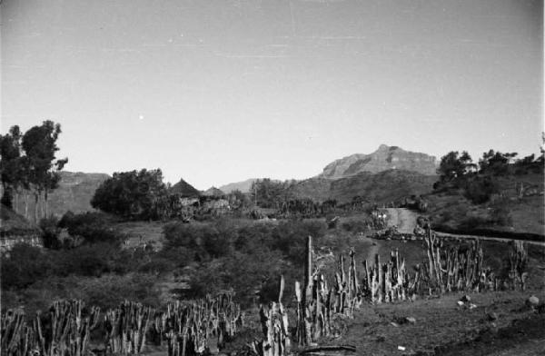 Viaggio in Africa. Paesaggio africano: villaggio di capanne tra la vegetazione (cactus e piante di agave)