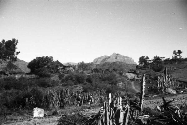 Viaggio in Africa. Paesaggio africano: villaggio di capanne tra la vegetazione (cactus e piante di agave). Colline in lontananza