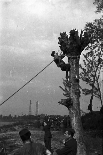 Miitare imbraga un albero da abbattere per costruire una passerella lungo le sponde del Ticino