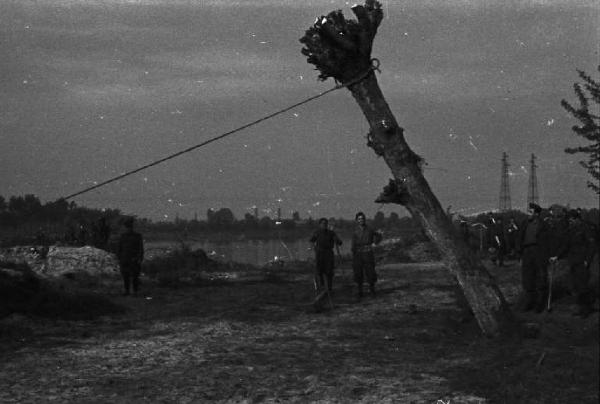 Militari abbattono un albero per costruire una passerella lungo le sponde del Ticino