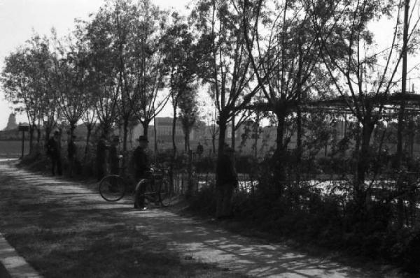 Periferia di Milano: persone che osservano il campo della bocciofila attraverso un filare di alberi