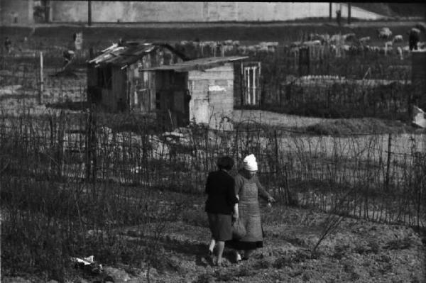 Periferia di Milano: orti di guerra a ridosso della città