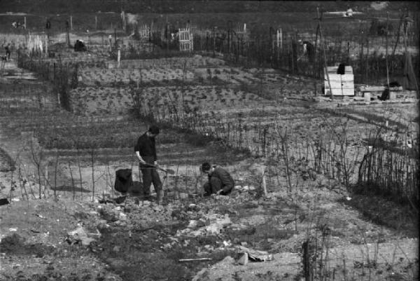 Periferia di Milano: orti di guerra a ridosso della città